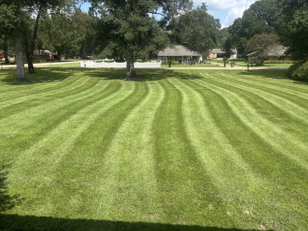 Healthy striped lawn in Denham Springs by Clean Cut Property Maintenance